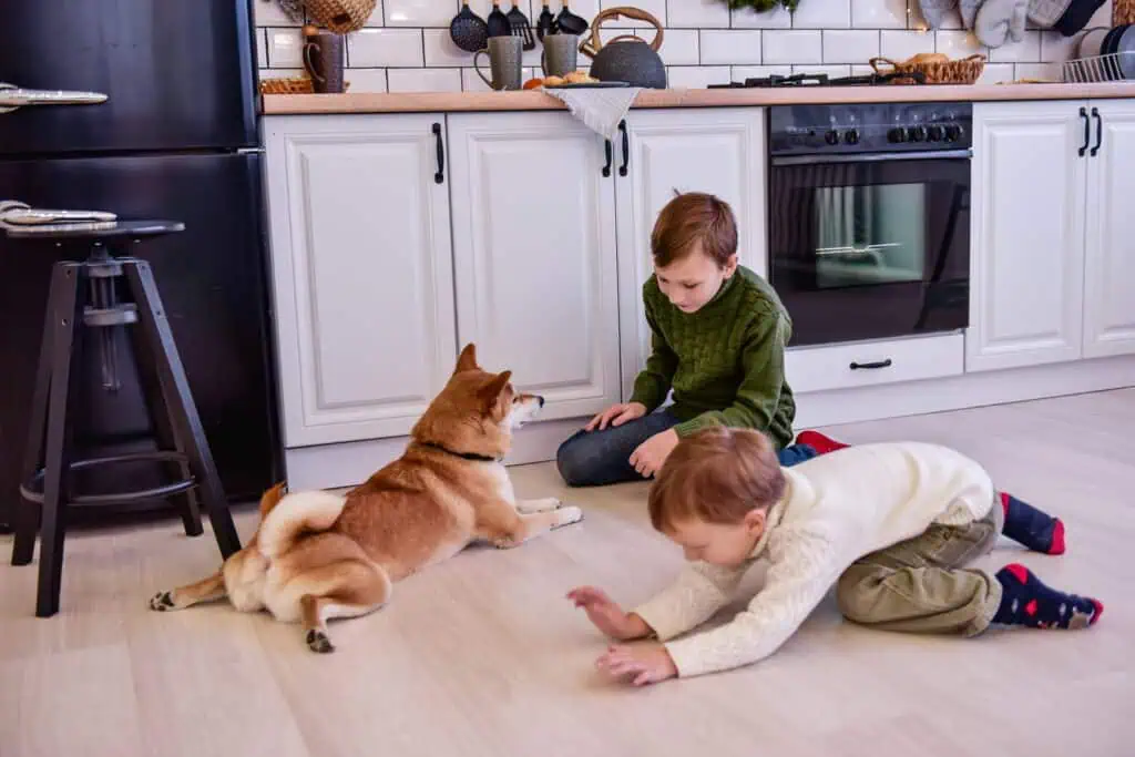 Families with young children and pets praise their waterproof